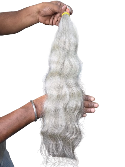 Grey human hair